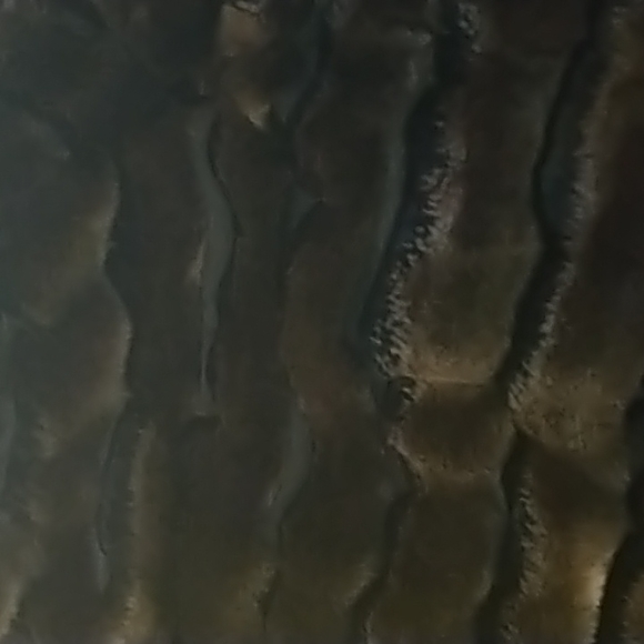 Faux Fur Jacket INC XL - Picture 9 of 9